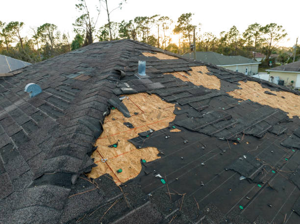 Best Solar Panel Roofing Installation  in Narrows, VA